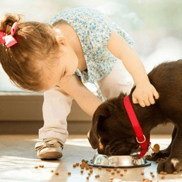 Kid feeding pet